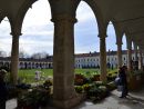 Alla Certosa Reale di Collegno, Follia in Fiore apre la primavera 2025