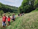 Rivoli si tinge di verde con due eventi immersivi nella natura