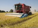 Piano per la qualità dell'aria: "In assenza di modifiche  a rischio il settore agricolo"