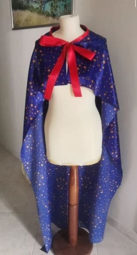 Carnevale, per la prima volta sfila il carro inclusivo "Carcarin - Per un mondo perfetto attaccati al razzo"