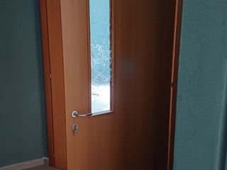 Vandali in azione presso la Villa 6 di Collegno Vandali in azione presso la Villa 6 di Collegno