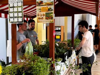 A Pianezza si fa il punto sui lavori al Dalmasso A Pianezza si fa il punto sui lavori al Dalmasso