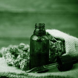 Cannabis light e cannabis tradizionale: cosa cambia davvero