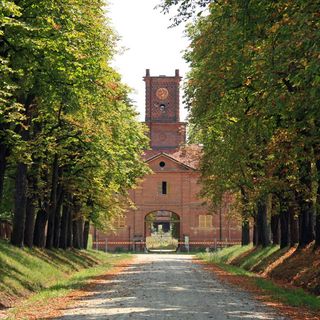 Venaria, i 40 anni del Parco la Mandria con una festa il 3 giugno