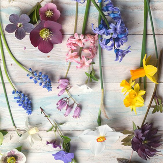 Alpignano, domenica 18 marzo torna la fiera primaverile per mantenere una promessa