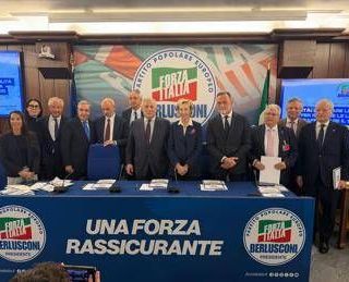 Sanità, Fi: "Eliminare incompatibilità medici Ssn per ridurre liste d'attesa e gettonisti"