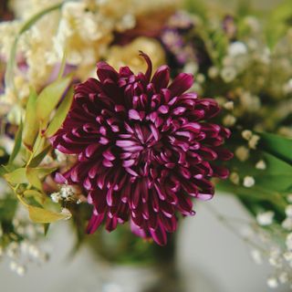 Casa Athena di Athena Onoranze Funebri: uno spazio di pace e raccoglimento