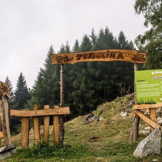 Il bosco della Trebulina