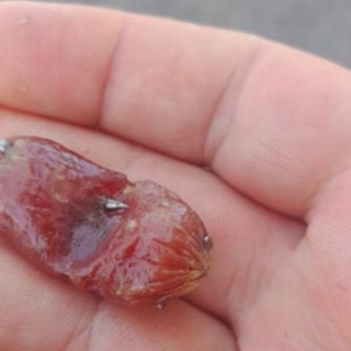 Foto dal gruppo facebook &quot;Sei di Grugliasco se...&quot;