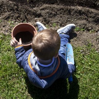 Quando l’Orto che cura diventa simbolo di rinascita e sostegno sociale