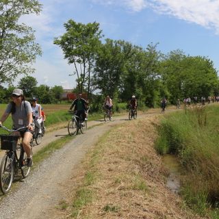 Torna la Grande Biciclettata di Pianezza