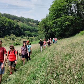 Rivoli si tinge di verde con due eventi immersivi nella natura