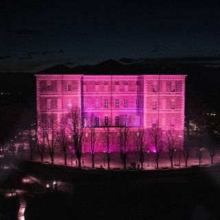 castello rivoli illuminato di rosa