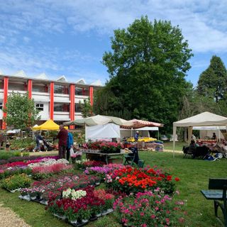 Fiori &amp; Vini 2023 a Carignano: mostra mercato