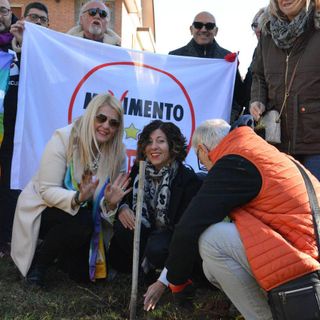 piantumazione alberi