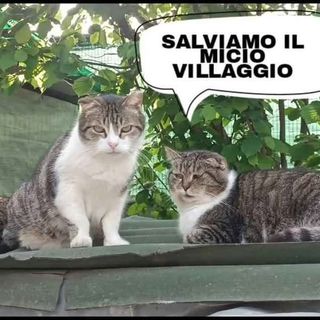 Micio Villaggio rischia di chiudere