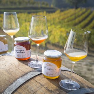 Piemonte Miele in prima linea per la tutela dell’apicoltura