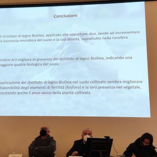 Nel mese di febbraio, presso l’Accademia dei Fisiocritici in Siena, il venerdì 25 si terrà il secondo workshop BioDea 2022