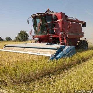 Piano per la qualità dell'aria: &quot;In assenza di modifiche  a rischio il settore agricolo&quot;