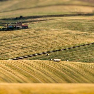 La carica delle imprese giovani: 7 su 10 sopravvivono ai primi 3 anni e tanti "riscoprono" la terra