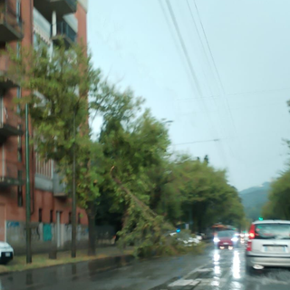 Emergenza maltempo in Piemonte, la Regione approva i primi interventi per i danni