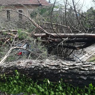 Immagine di repertorio