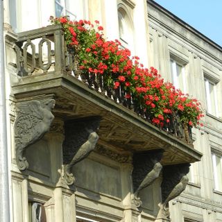 Il mio giardino biodiverso: parte il concorso di Legambiente per fotografare la natura urbana