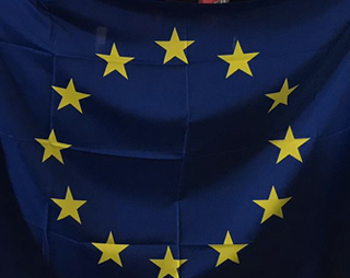 Le pmi torinesi puntano a 35 miliardi di euro diventando fornitori della UE