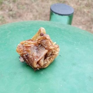 Bocconi di carne con spilli (foto di repertorio)