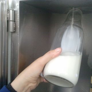 Il latte, un compagno di vita, spesso demonizzato, che è invece, tracciato, controllato e ancora poco conosciuto