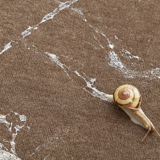 Castello di Rivoli: in autunno apre la mostra Mutual Aid tra arte e sostenibilità