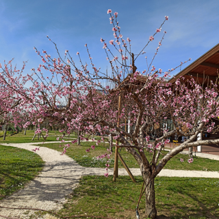 A FICO una "sosta gustosa" per scoprire tutta l’Italia  del cibo tra attrazioni, eventi e giardini urbani