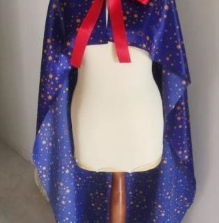 Carnevale, per la prima volta sfila il carro inclusivo "Carcarin - Per un mondo perfetto attaccati al razzo"