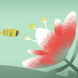 L'ultima Ape: ecco il cortometraggio su ambiente e rifiuti speciali realizzato da Baricalla