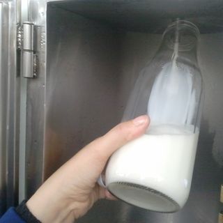 Torino: partita la campagna “Latte nelle scuole”