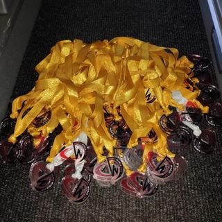 Collegno da medaglia d'oro con il Centro Danza Iris