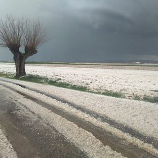 albero con a neve e la strada imbiancata