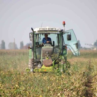 475 milioni di Fondi Fesr per l'ambiente, Marnati: "Lavoreremo per la transizione ecologica"