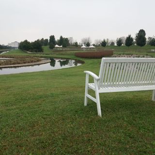 Dalle 9 alle 17.30 vendita di piantine e fiori per l'autofinanziamento dei campi estivi