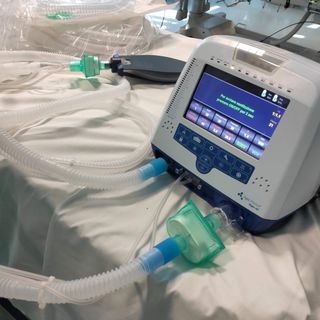 Molinette in prima fila nello studio che (in certe condizioni) potrebbe portare alla cura della Sla