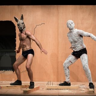 "Work" di Claudio Stellato a Torino e Venaria Reale tra danza, circo, musica e arti visive