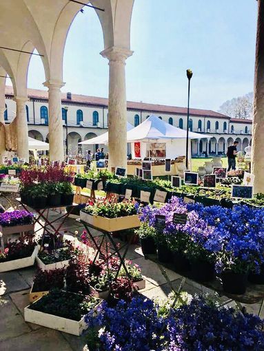 Follia in Fiore dà il benvenuto alla Primavera a Collegno