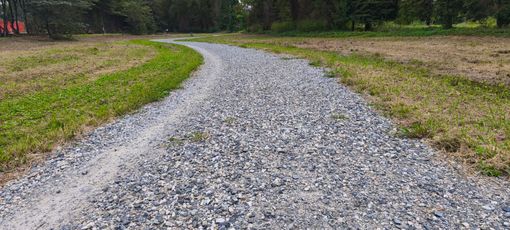 In Piemonte 8 milioni per tutelare la biodiversità naturale: interventi a Chivasso e Rivoli