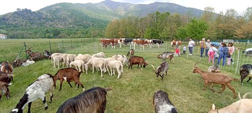 Fiera di San Giorgio a Caselette