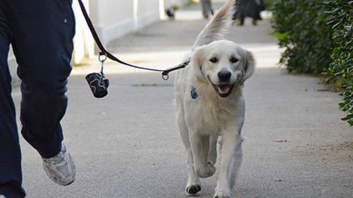 Immagine di archivio