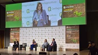 Santanchè: "Dop è fondamentale per aumentare offerte" Santanchè: "Dop è fondamentale per aumentare offerte"