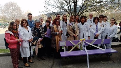 Disturbi alimentari, la panchina viola davanti al Regina Margherita Disturbi alimentari, la panchina viola davanti al Regina Margherita