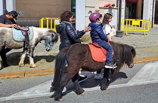 Domenica 27 aprile Rivoli celebra la Giornata della Terra Domenica 27 aprile Rivoli celebra la Giornata della Terra