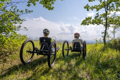 Piemonte sempre più per tutti: "World summit sul turismo accessibile nel 2025 a Torino" Piemonte sempre più per tutti: "World summit sul turismo accessibile nel 2025 a Torino"