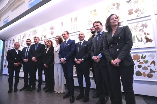 Impasse da Roma sulle Regionali, Cirio: "Non sono preoccupato, politica ha i suoi tempi" Impasse da Roma sulle Regionali, Cirio: "Non sono preoccupato, politica ha i suoi tempi"